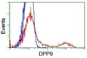 Flow Cytometry (FACS) image for anti-Dipeptidyl-Peptidase 9 (DPP9) antibody (ABIN1497896) (DPP9 Antikörper)