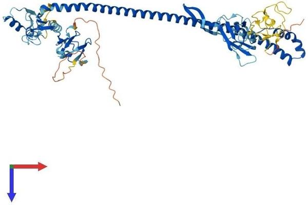 TRIM45 Protein (AA 1-580) (His tag)