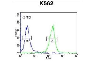 SE6L2 Antibody (C-term) (ABIN651130 and ABIN2840088) flow cytometric analysis of K562 cells (right histogram) compared to a negative control cell (left histogram). (SEZ6L2 Antikörper  (C-Term))