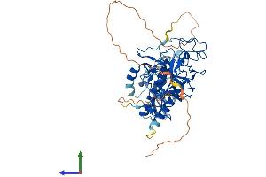 Protein Structure (PS) image for Suppressor of Variegation 3-9 Homolog 2 (Drosophila) (SUV39H2) (AA 1-477) protein (His tag) (ABIN7565038)