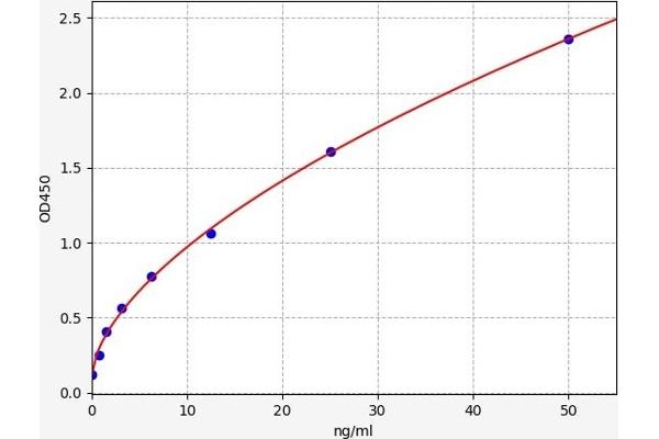 CEBPE ELISA Kit