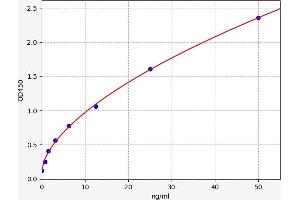 Typical standard curve (CEBPE ELISA Kit)