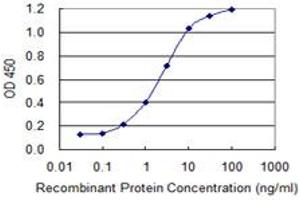 Detection limit for recombinant GST tagged TCF7 is 0. (TCF7 Antikörper  (AA 287-384))