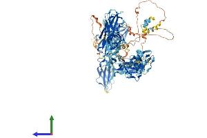 Protein Structure (PS) image for Myosin Binding Protein C, Cardiac (MYBPC3) (AA 1-1274) protein (His tag) (ABIN7554651)
