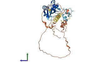 Protein Structure (PS) image for Interferon Stimulated Exonuclease Gene 20kDa (ISG20) (AA 1-300) protein (His tag) (ABIN7561661)