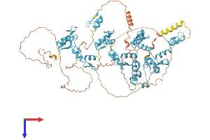 ZNF786 Protein (AA 1-782) (His tag)