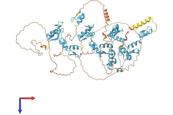 ZNF786 Protein (AA 1-782) (His tag)
