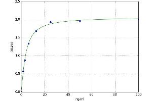 A typical standard curve