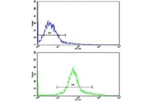 Flow cytometric analysis of HeLa cells using NANOG antibody (bottom histogram) compared to a negative control (top histogram).