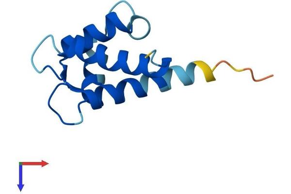 S100A2 Protein (AA 1-98) (His tag)