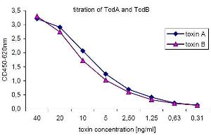 Typical titration curve generated with the recombinant standard toxins. (Clostridium Difficile Toxin A Or B ELISA Kit)
