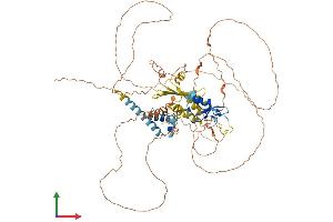 Protein Structure (PS) image for RING Finger Protein 6 (RNF6) (AA 1-685) protein (His tag) (ABIN7555250)