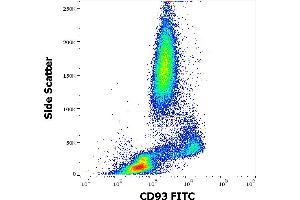 Flow cytometry surface staining pattern of human peripheral whole blood stained using anti-human CD93 (VIMD2) FITC antibody (4 μL reagent / 100 μL of peripheral whole blood).