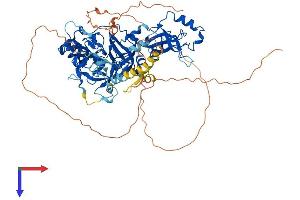 L3MBTL2 Protein (AA 1-703) (His tag)