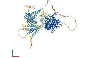 Protein Structure (PS) image for Protein Kinase N3 (PKN3) (AA 1-878) protein (His tag) (ABIN7559420)