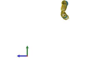 AlphaFold protein structure predicition of Human Recombinant FAM25C Protein, UniprotID B3EWG5