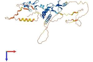 LHX9 Protein (AA 1-397) (His tag)
