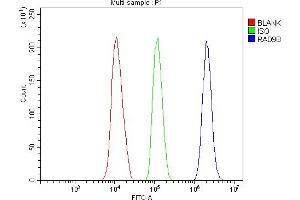 Flow Cytometry analysis of HEPA1-6 cells using anti-Rad9b antibody (ABIN7599360). (RAD9B Antikörper  (AA 1-403))