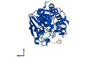 Protein Structure (PS) image for Protein Phosphatase 6, Catalytic Subunit (PPP6C) (AA 1-305) protein (His tag) (ABIN7550914)