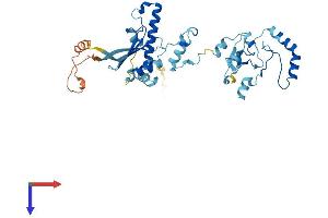 Heat Shock Protein 90kDa alpha (Cytosolic), Class B Member 2, Pseudogene (HSP90AB2P) (AA 1-381) protein (His tag)