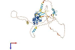 SOCS5 Protein (AA 1-536) (His tag)