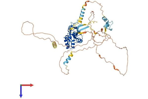 SOCS5 Protein (AA 1-536) (His tag)