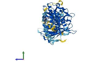 Protein Structure (PS) image for Acyl-CoA Thioesterase 12 (ACOT12) (AA 1-555) protein (His tag) (ABIN7551897)