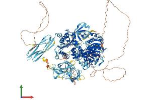 Protein Structure (PS) image for Mov10l1, Moloney Leukemia Virus 10-Like 1 (MOV10L1) (AA 1-1187) protein (His tag) (ABIN7564909)