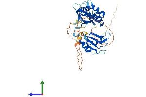 Protein Structure (PS) image for ELAV (Embryonic Lethal, Abnormal Vision, Drosophila)-Like 2 (Hu Antigen B) (ELAVL2) (AA 1-360) protein (His tag) (ABIN7557633)
