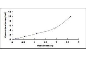 Typical standard curve (p63 ELISA Kit)