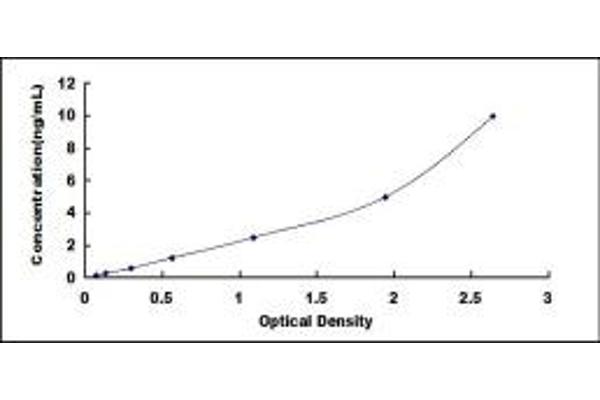 p63 ELISA Kit