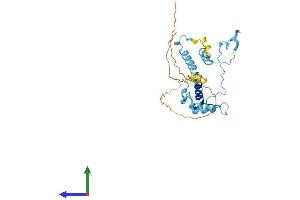 Protein Structure (PS) image for Intraflagellar Transport 46 (IFT46) (AA 1-304) protein (His tag) (ABIN7548525)