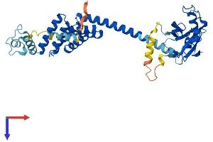 TTC4 Protein (AA 1-387) (His tag)
