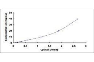 ELISA image for Transforming Growth Factor, beta-Induced, 68kDa (TGFBI) ELISA Kit (ABIN415149)