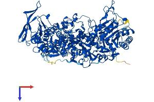 DPYD Protein (AA 1-1025) (His tag)