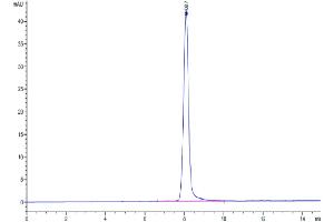 The purity of Human EPHA2 is greater than 95 % as determined by SEC-HPLC. (EPH Receptor A2 Protein (EPHA2) (AA 24-537) (His tag))