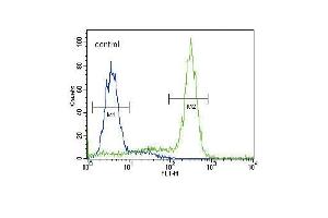 ST Antibody (C-term) (ABIN392001 and ABIN2841786) flow cytometric analysis of HepG2 cells (right histogram) coared to a negative control cell (left histogram).
