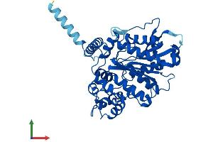 Protein Structure (PS) image for Neutral Cholesterol Ester Hydrolase 1 (NCEH1) (AA 1-408) protein (His tag) (ABIN7549690)