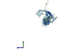 Protein Structure (PS) image for Actinin, alpha 2 (ACTN2) (AA 1-894) protein (His tag) (ABIN7551879)