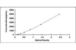 Typical standard curve (TIMP4 ELISA Kit)