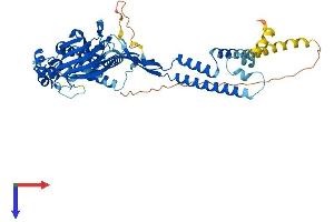 ASIC3 Protein (AA 1-530) (His tag)