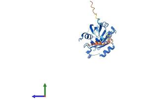 Protein Structure (PS) image for RAB6B, Member RAS Oncogene Family (RAB6B) (AA 1-208) protein (His tag) (ABIN7556581)