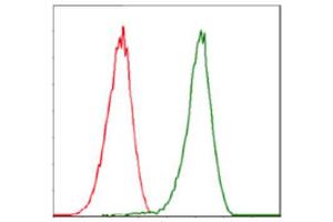 Flow Cytometry (FACS) image for anti-Cyclin-Dependent Kinase 2 (CDK2) antibody (ABIN1845617) (CDK2 Antikörper)