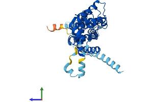 Protein Structure (PS) image for ELMO/CED-12 Domain Containing 1 (ELMOD1) (AA 1-334) protein (His tag) (ABIN7547337)