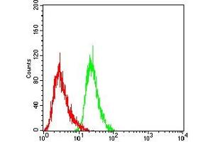 Flow cytometric analysis of Jurkat cells using CD15 mouse mAb (green) and negative control (red). (CD15 Antikörper  (AA 1-147))