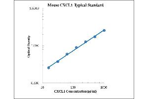 ELISA image for Chemokine (C-X-C Motif) Ligand 1 (Melanoma Growth Stimulating Activity, Alpha) (CXCL1) ELISA Kit (ABIN2472091) (CXCL1 ELISA Kit)