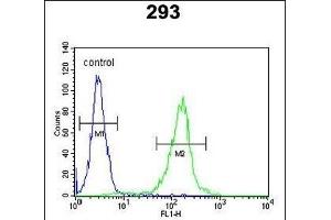 STE Antibody (Center) (ABIN651772 and ABIN2840394) flow cytometric analysis of 293 cells (right histogram) compared to a negative control cell (left histogram). (STEAP2 Antikörper  (AA 229-258))
