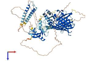 OSBPL10 Protein (AA 1-764) (His tag)