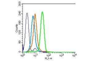 Human HL-60 cells probed with Integrin beta 3 Polyclonal Antibody, Unconjugated  (green) at 1:100 for 30 minutes followed by a FITC conjugated secondary antibody compared to unstained cells (blue), secondary only (light blue), and isotype control (orange).
