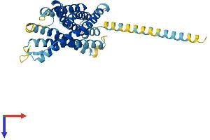 LPAR6 Protein (AA 1-344) (His tag)